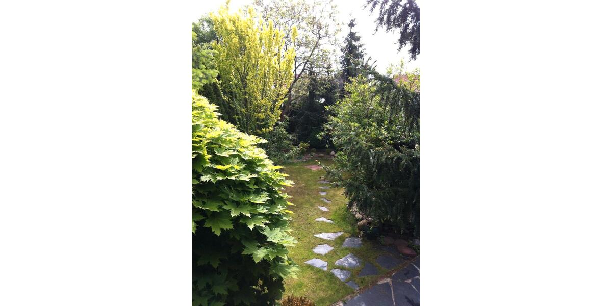 Reihenhaus Eisenhüttenstadt - 6 Zimmer, 161 m&sup2;, 339.000&euro; | Angebot:25965004