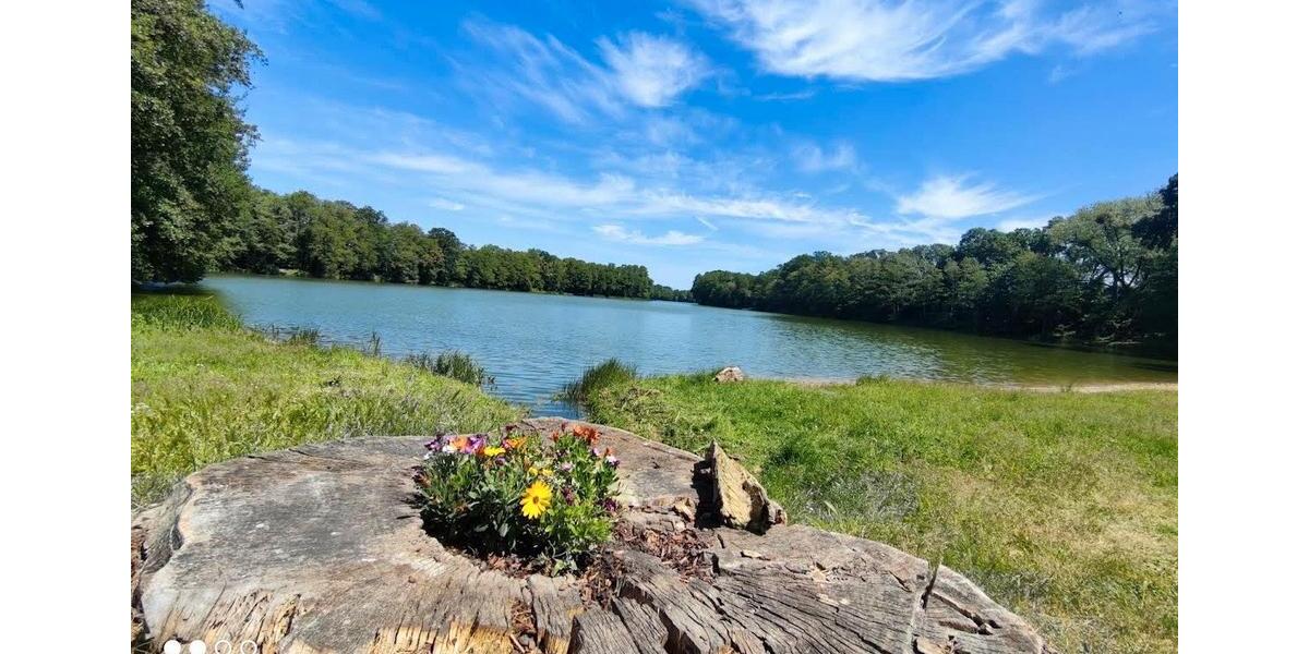 Erdgeschoßwohnung Seelow - 1 Zimmer, 48 m&sup2;, 445&euro; | Angebot:26028968