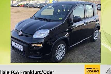 Fiat Panda 2.620 km 13.890 &euro; Frankfurt / Oder 15234