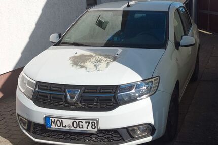 Dacia Logan 110.000 km 8.900 &euro; Seelow 15306