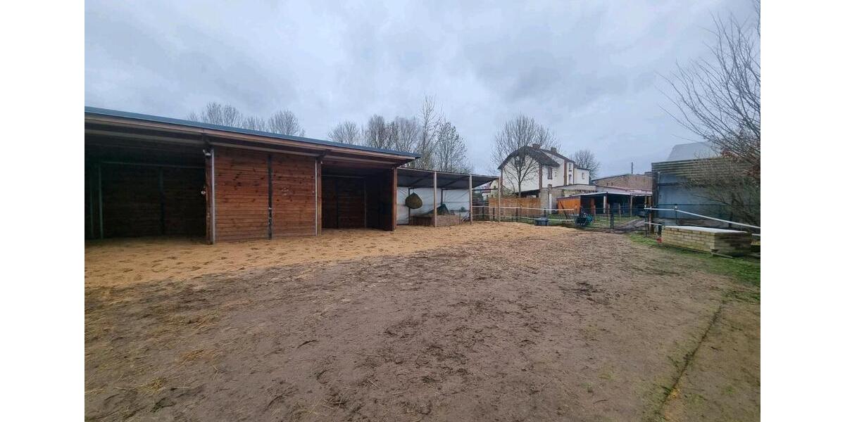 Einfamilienhaus Seelow - 3 Zimmer, 92 m&sup2;, 480.000&euro; | Angebot:24100177