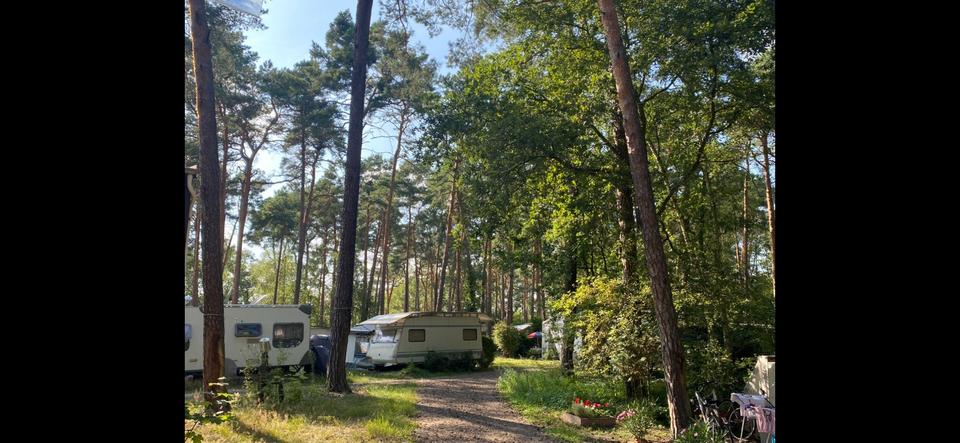 Bungalow Müllrose - 4 Zimmer, 25 m&sup2;, 12.500&euro; | Angebot:27297073
