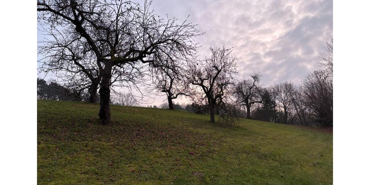 Bauernhaus, Landhaus Neuzelle - 7 Zimmer, 160 m&sup2;, 1.995&euro; | Angebot:26006320