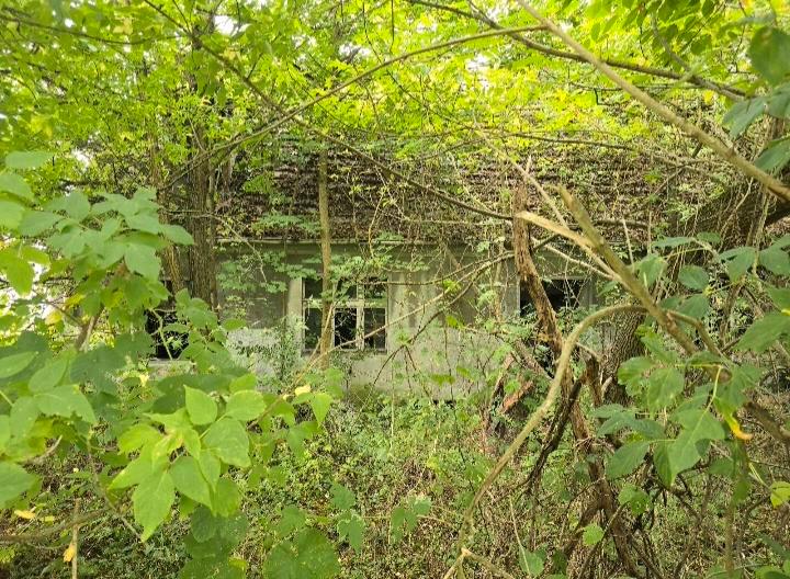 Einfamilienhaus Brieskow-Finkenheerd Finkenheerd - 55.000&euro; | Angebot:26710195