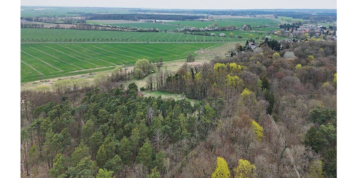 Grundstück Steinhöfel - 7.500&euro; | Angebot:26210845