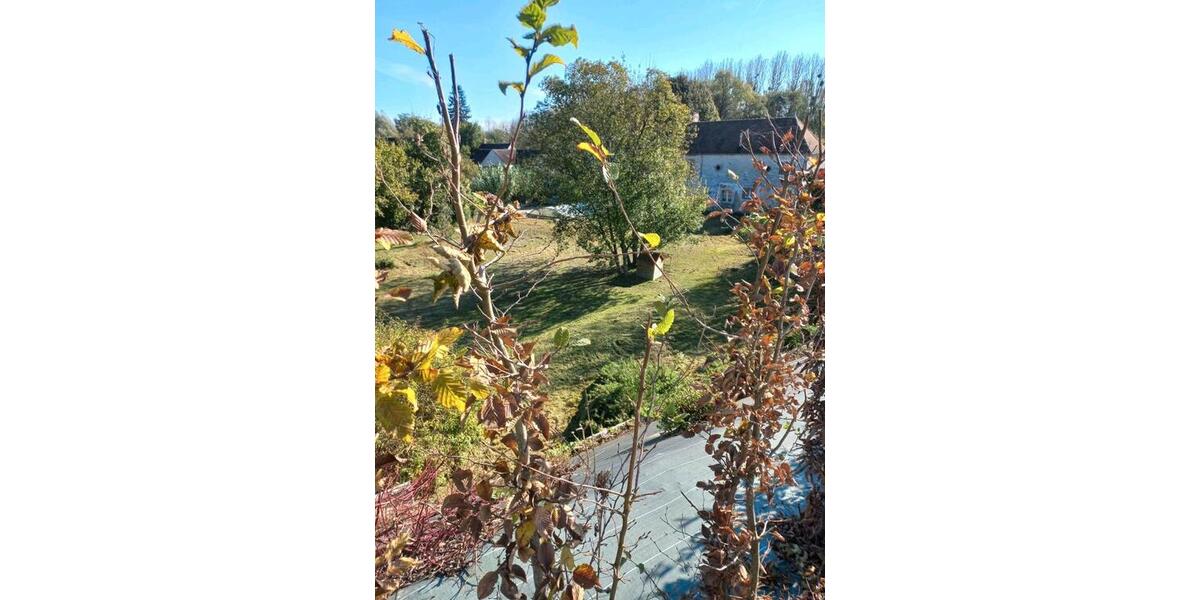 Einfamilienhaus Frankfurt (Oder) Booßen - 9 Zimmer, 241 m&sup2;, 360.000&euro; | Angebot:25823296