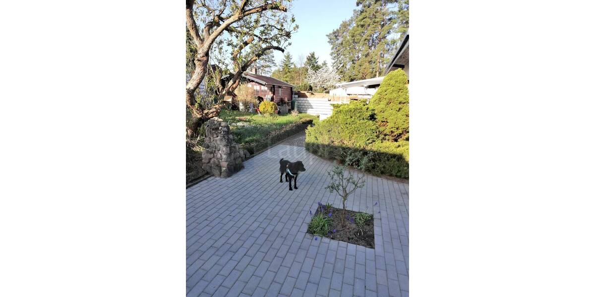 Grundstück Schernsdorf Schernsdorf - 50.000&euro; | Angebot:26093077