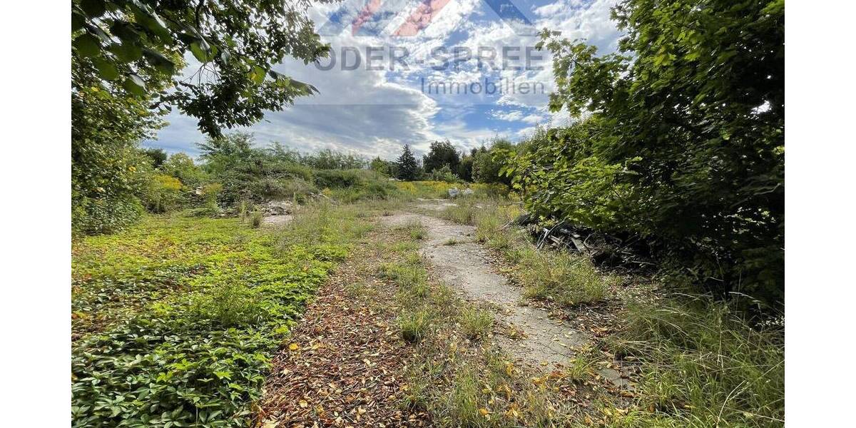 Grundstück Briesen (Mark) Briesen - 1.288.800&euro; | Angebot:25661541