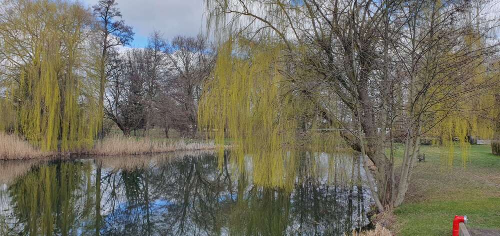 Grundstück Gem. Briesen/OT Biegen OT Biegen - 63.000&euro; | Angebot:26002158