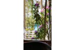 Bungalow Eisenhüttenstadt - 15.000&euro; | Angebot:27259780
