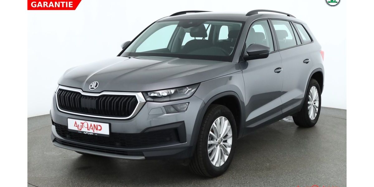 Skoda Kodiaq 59.018 km 31.890 &euro; Eisenhüttenstadt 15890