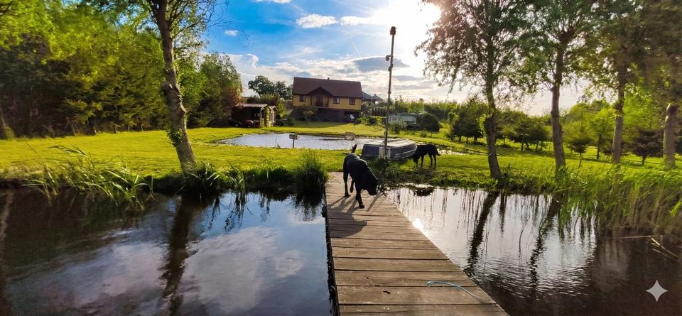 Einfamilienhaus Frankfurt (Oder) - 5 Zimmer, 170 m&sup2;, 549.999&euro; | Angebot:26221635