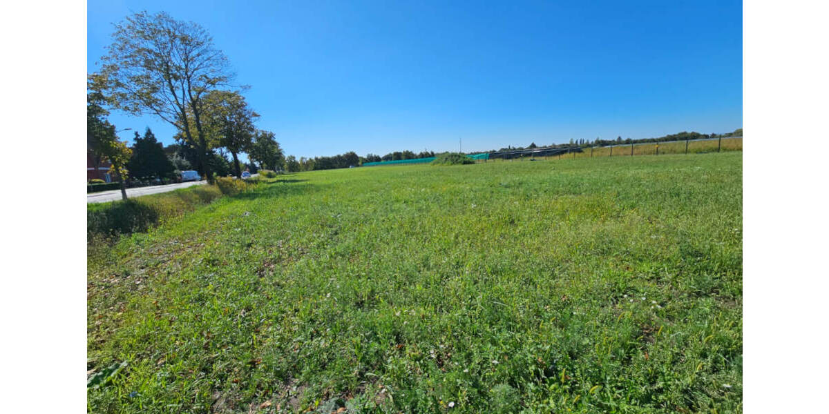 Grundstück Küstriner Vorland Manschnow - 130.000&euro; | Angebot:25715490