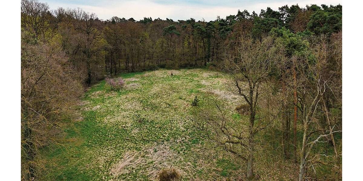 Grundstück Steinhöfel - 7.500&euro; | Angebot:26210845