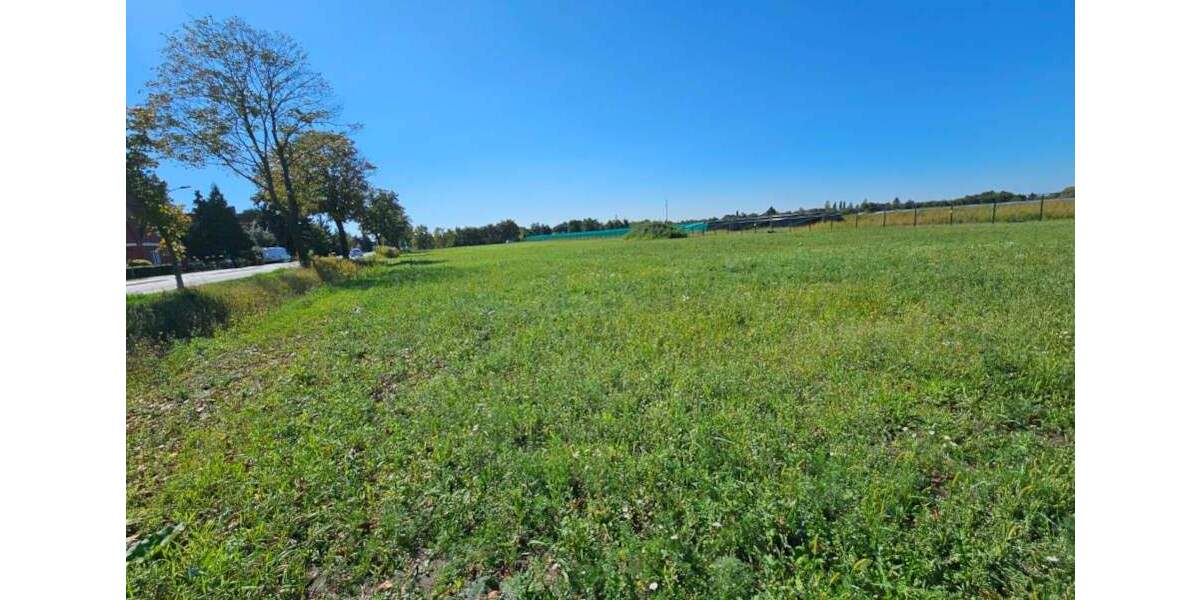 Grundstück Küstriner Vorland Manschnow - 130.000&euro; | Angebot:25699638